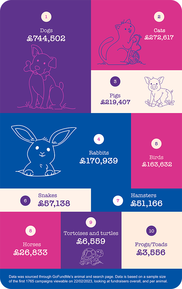 The animals that make the most money image
